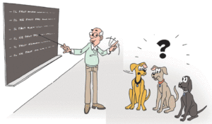 Un enseignant donne un cours au tableau noir à des chiens surpris