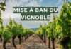 Mise à ban du vignoble
